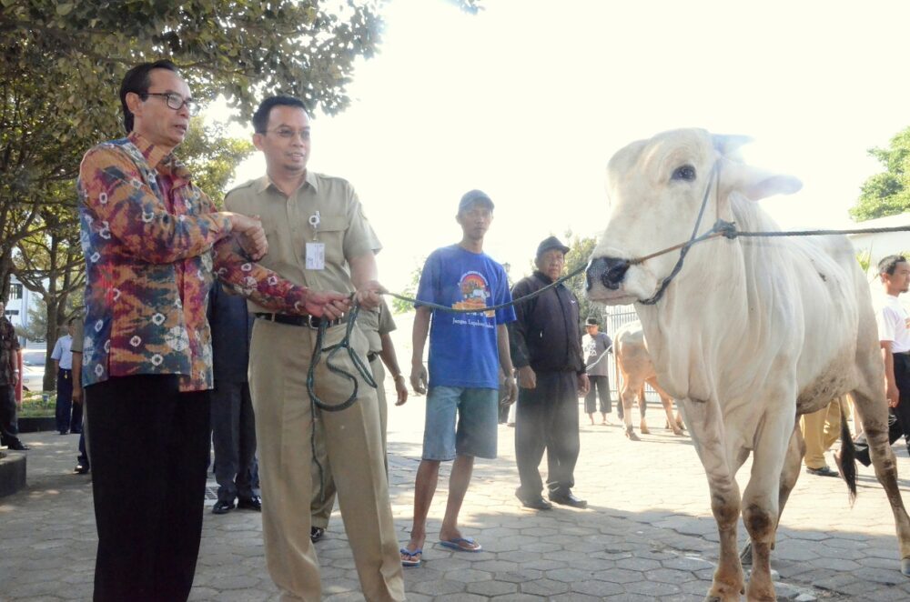Long weekend Iduladha diperkirakan akan berdampak positif bagi perekonomian khususnya bagi UMKM. Misalnya, sektor UMKM kuliner akan mendapatkan pesanan yang lebih banyak selama libur panjang Iduladha. (Dok. Pemkot Yogyakarta)